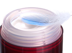 ������ ���� �� �����