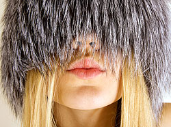 ������ ���� �� �����