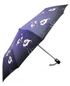 Вибираем зонт