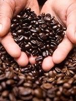 Крем с кофеином защитит от рака кожи