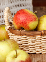 ������ ����������� �� 17 ���