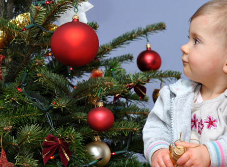 Новогодняя елка / shutterstock.com