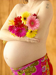 Женская грудь